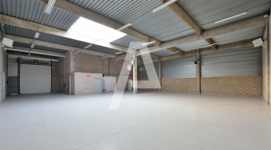 REXIM - Entrepôt - Saint-Thibault-des-Vignes - 3