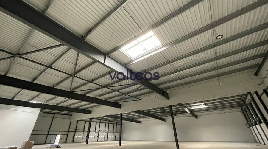 REXIM - Local d'activités - Haute-Garonne - Toulouse - 4