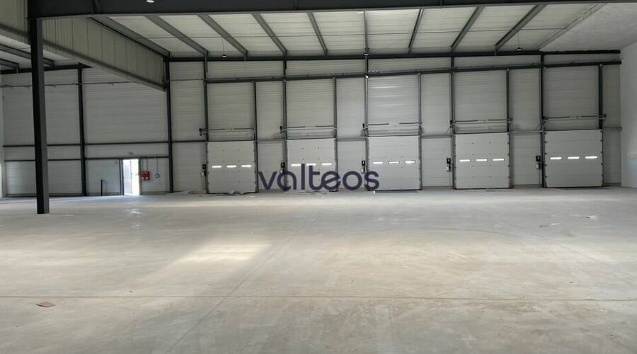 REXIM - Local d'activités - Haute-Garonne - Toulouse - 5