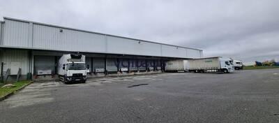 REXIM - Local d'activités - Haute-Garonne - Bruguières - 4