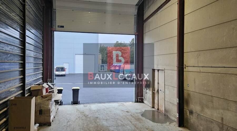 REXIM - Local d'activités - Vaucluse - Pernes-les-Fontaines - 5