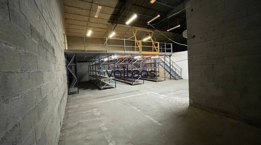 REXIM - Local d'activités - Haute-Garonne - Toulouse - 3