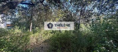 REXIM - Bureau - Hérault - Saint-Gély-du-Fesc - 5