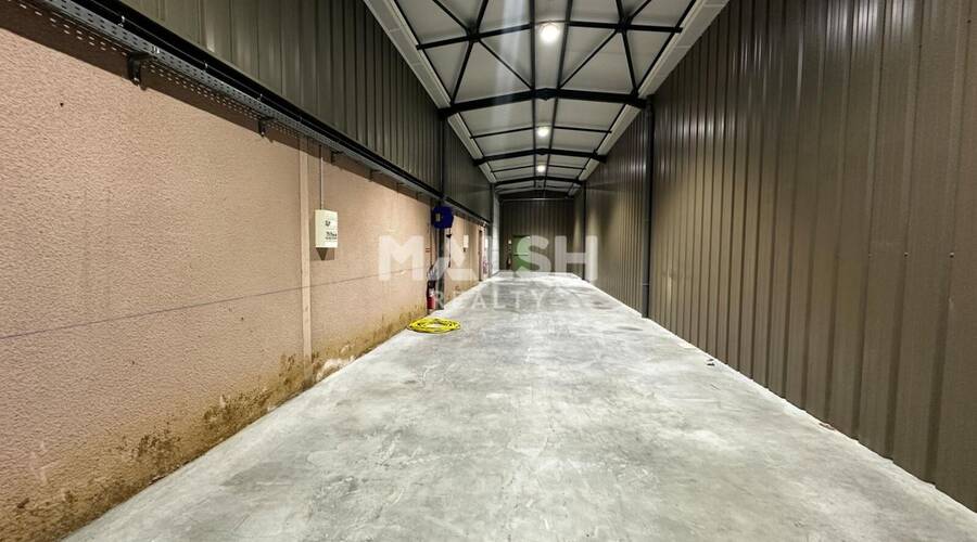 REXIM - Local d'activités - Rhône - Arnas - 3