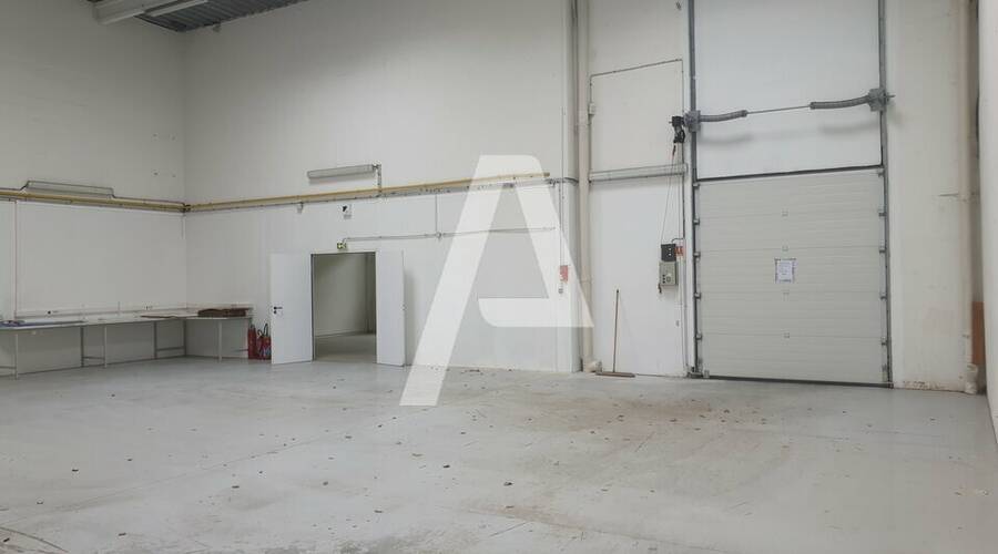 REXIM - Entrepôt - Champs-sur-Marne - 5