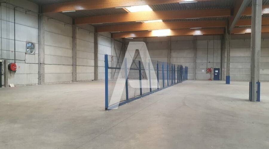 REXIM - Entrepôt - Saint-Thibault-des-Vignes - 7