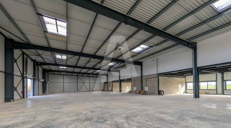 REXIM - Entrepôt - Villebon-sur-Yvette - 8