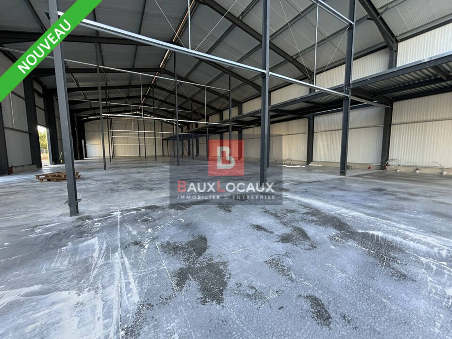 REXIM - Local d'activités - Gard - Roquemaure - 2