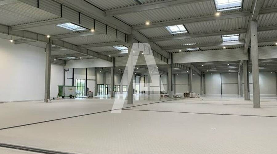 REXIM - Entrepôt - Sucy-en-Brie - 4