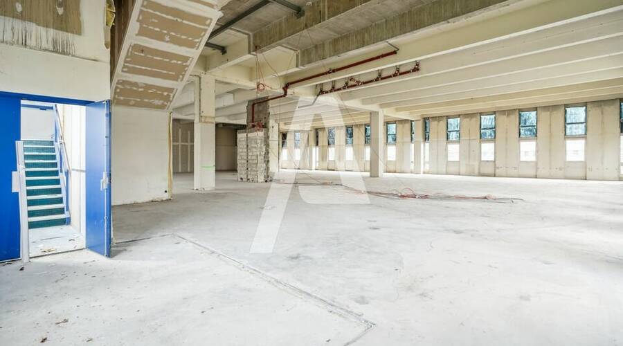 REXIM - Entrepôt - Rungis - 1