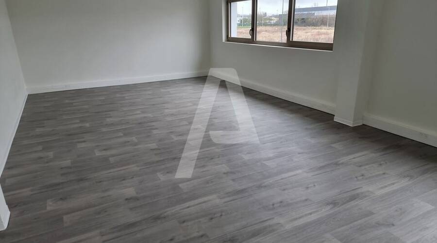 REXIM - Entrepôt - Marolles-en-Hurepoix - 2