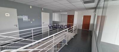 REXIM - Local d'activités - Haute-Garonne - Bouloc - 4