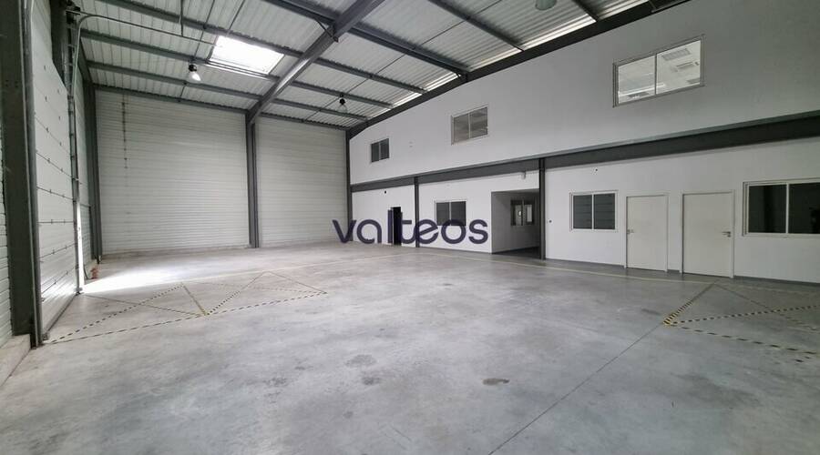 REXIM - Local d'activités - Haute-Garonne - Bouloc - 6