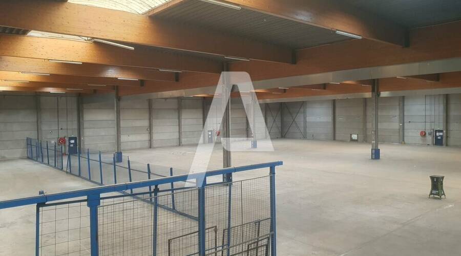 REXIM - Entrepôt - Saint-Thibault-des-Vignes - 8