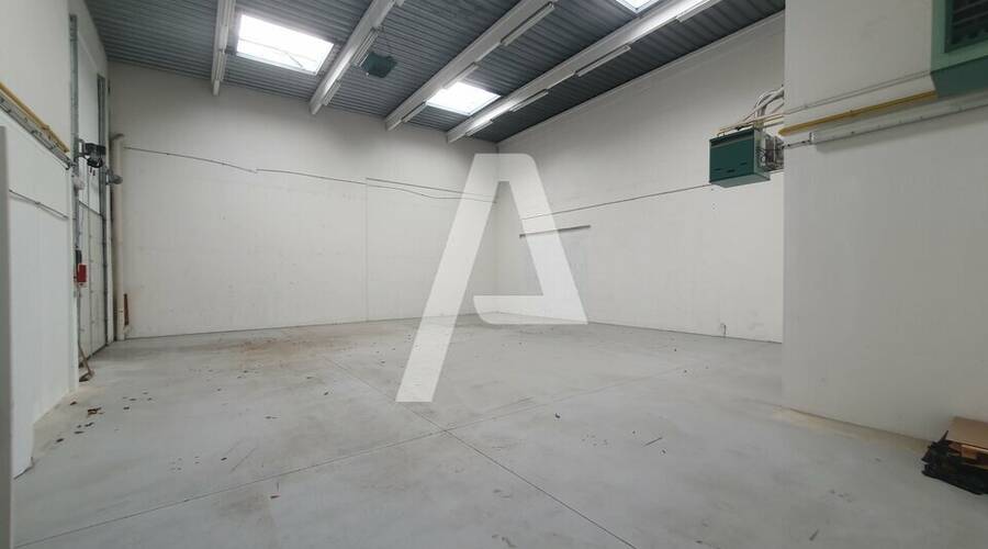 REXIM - Entrepôt - Champs-sur-Marne - 3