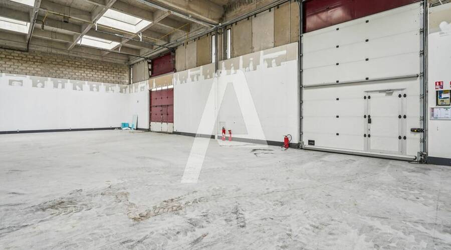 REXIM - Entrepôt - Rungis - 4