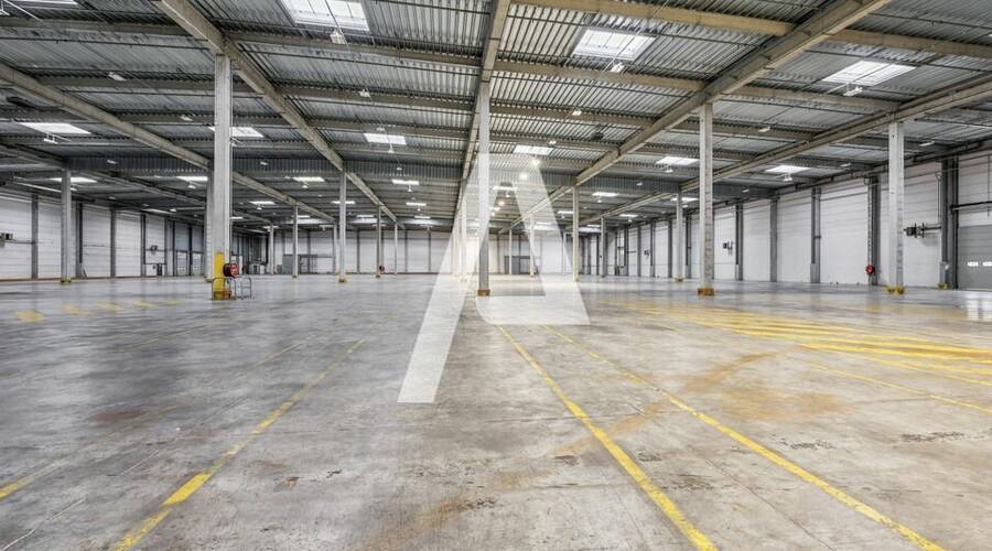 REXIM - Local d'activités - Moissy-Cramayel - 4