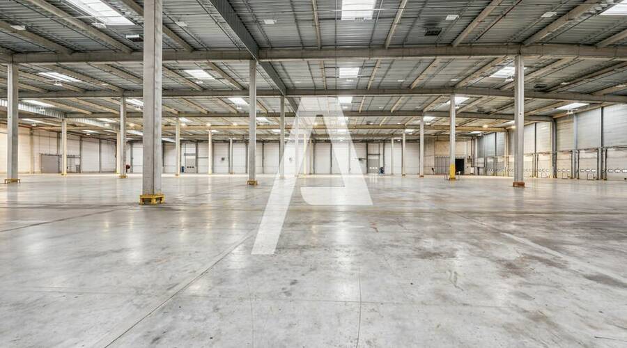 REXIM - Local d'activités - Moissy-Cramayel - 5