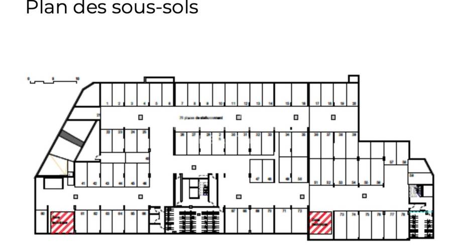 REXIM - Local d'activités - Rhône - Lyon - 10