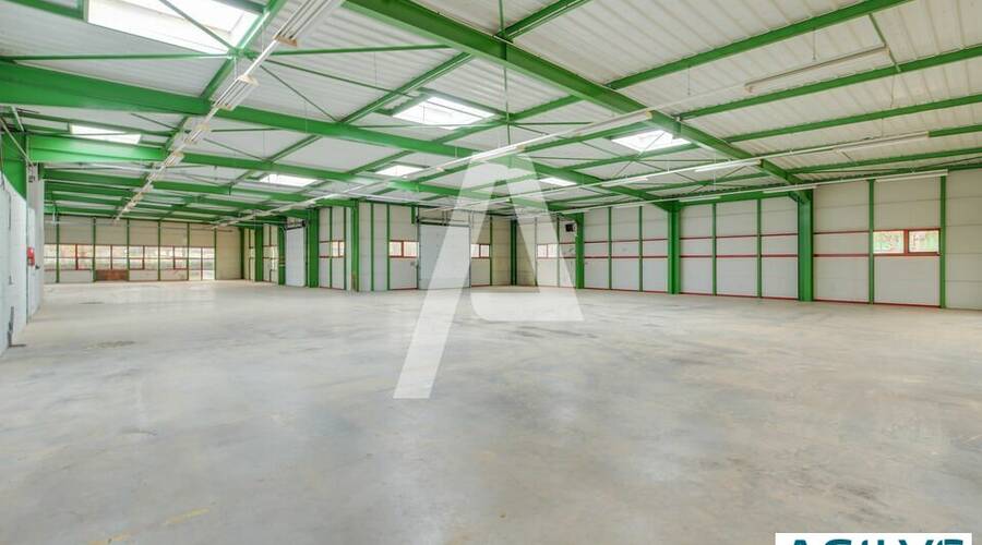 REXIM - Entrepôt - Saint-Thibault-des-Vignes - 4