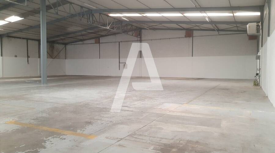 REXIM - Entrepôt - Morangis - 10