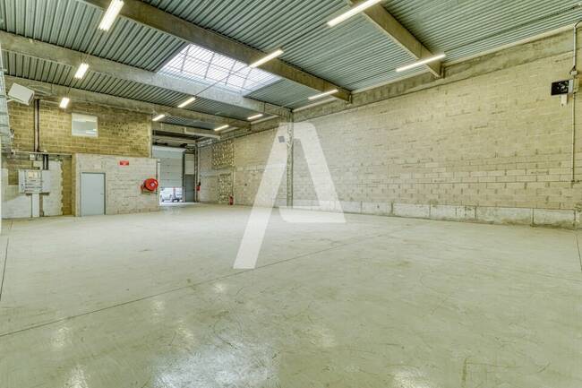 REXIM - Entrepôt - Saint-Thibault-des-Vignes - 1