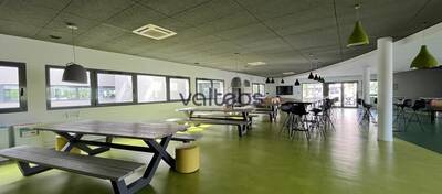 REXIM - Bureau - Haute-Garonne - Blagnac - 10