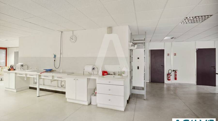 REXIM - Bureau - Villebon-sur-Yvette - 5