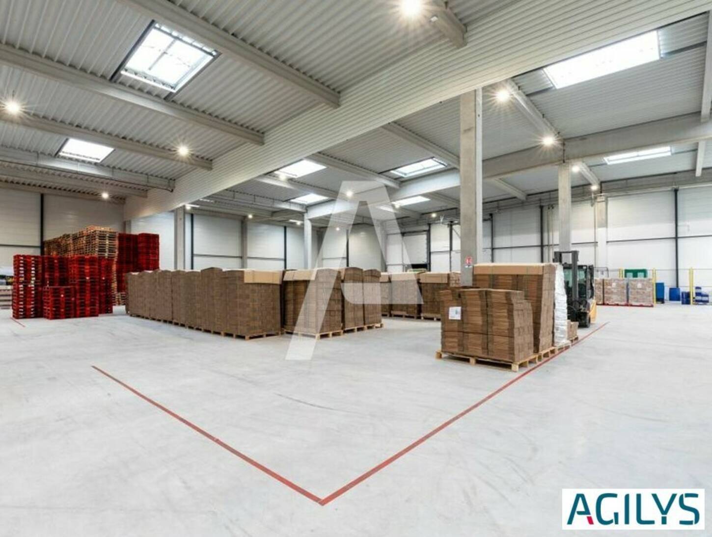 REXIM - Entrepôt - Sucy-en-Brie - 2