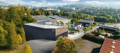 REXIM - Local d'activités - Loire - Étrat - 3