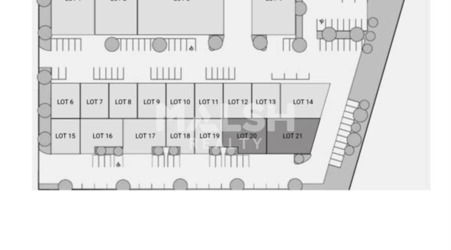 REXIM - Local d'activités - Loire - Roanne - 8