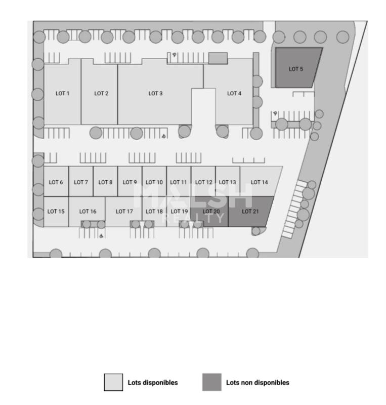 REXIM - Local d'activités - Loire - Roanne - 8