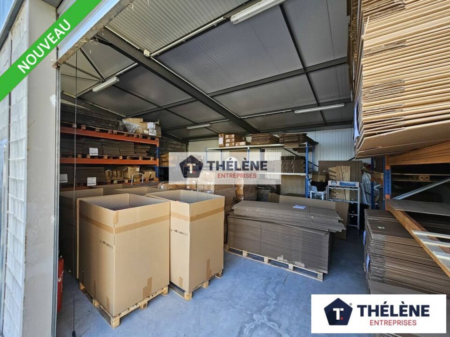 REXIM - Local d'activités - Hérault - Montpellier - 2