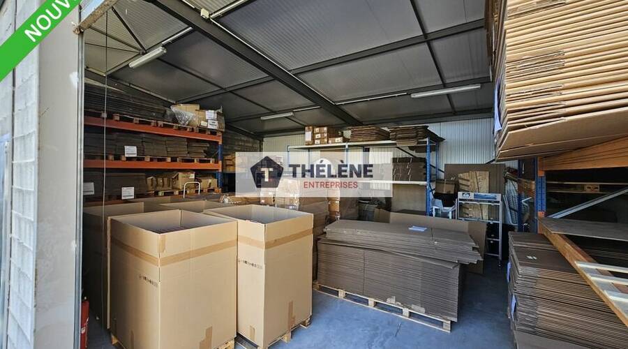 REXIM - Local d'activités - Hérault - Montpellier - 2