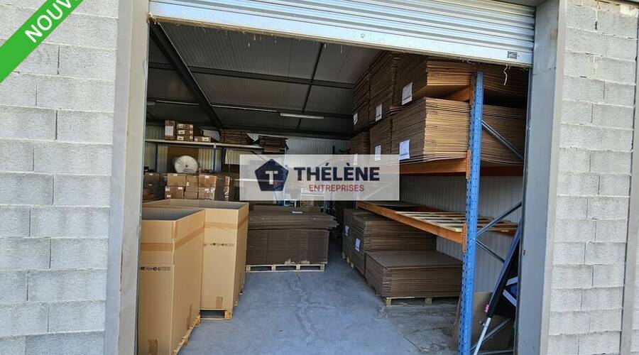 REXIM - Local d'activités - Hérault - Montpellier - 3