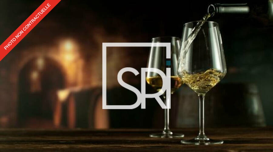 REXIM - Local commercial - Allier - Vichy - 7