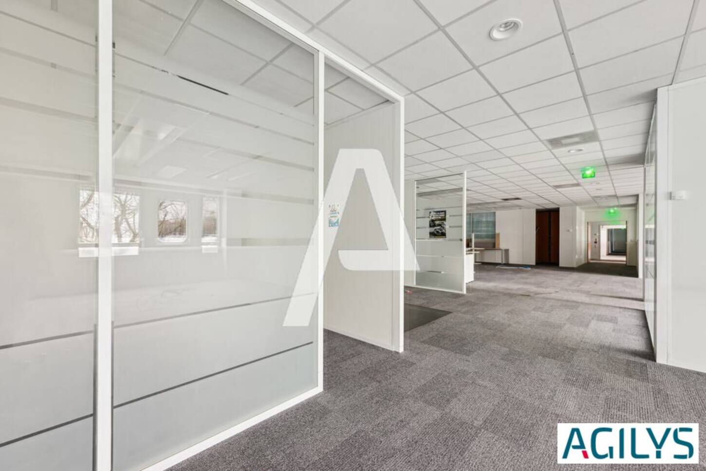 REXIM - Entrepôt - Rungis - 2