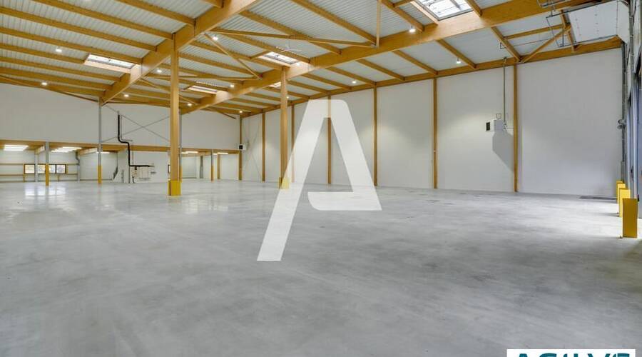 REXIM - Entrepôt - Brie-Comte-Robert - 4