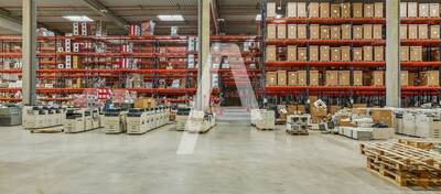 REXIM - Local d'activités - Ferrières-en-Brie - 4