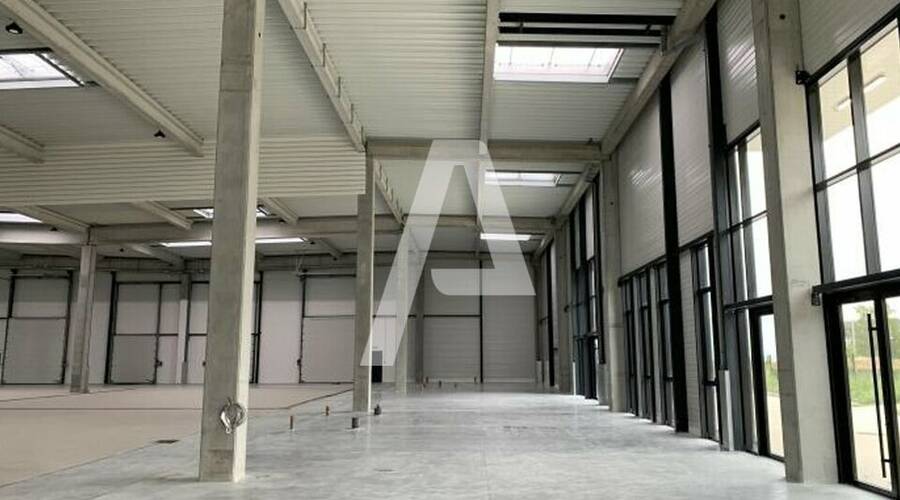 REXIM - Entrepôt - Sucy-en-Brie - 1