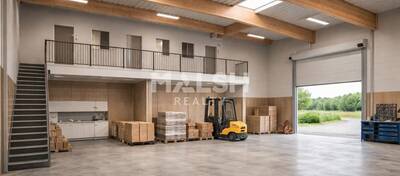 REXIM - Local d'activités - Loire - Violay - 2