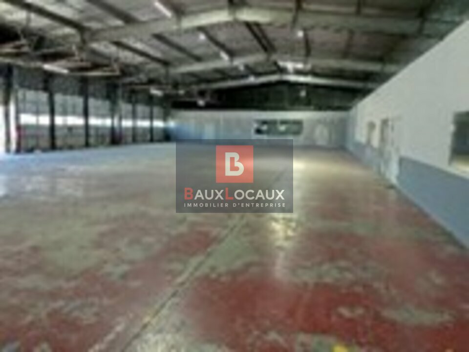 REXIM - Entrepôt - Vaucluse - Avignon - 3