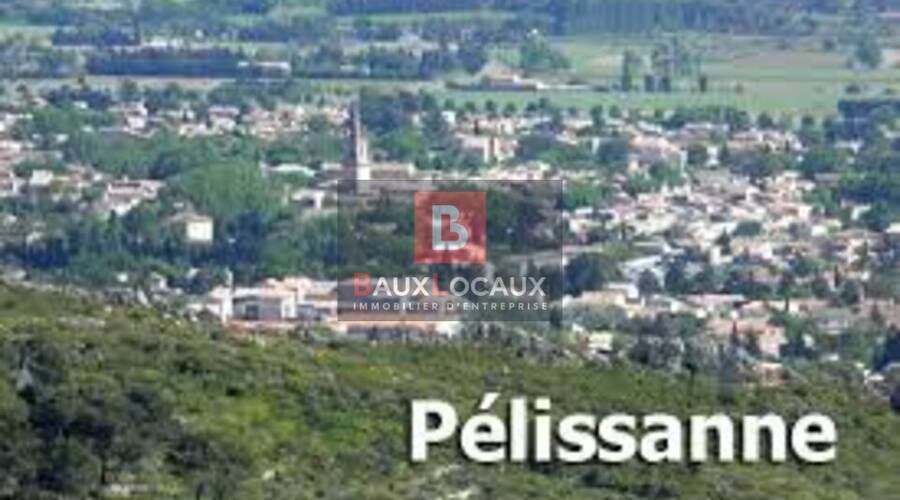 REXIM - Local d'activités - Bouches-du-Rhône - Pélissanne - 3