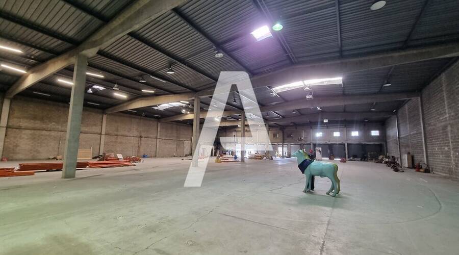 REXIM - Entrepôt - Morangis - 4