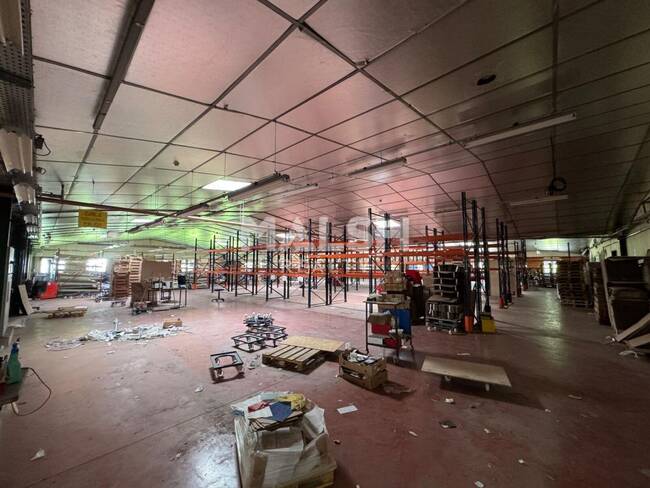 REXIM - Local d'activités - Loire - Saint-Galmier - 1