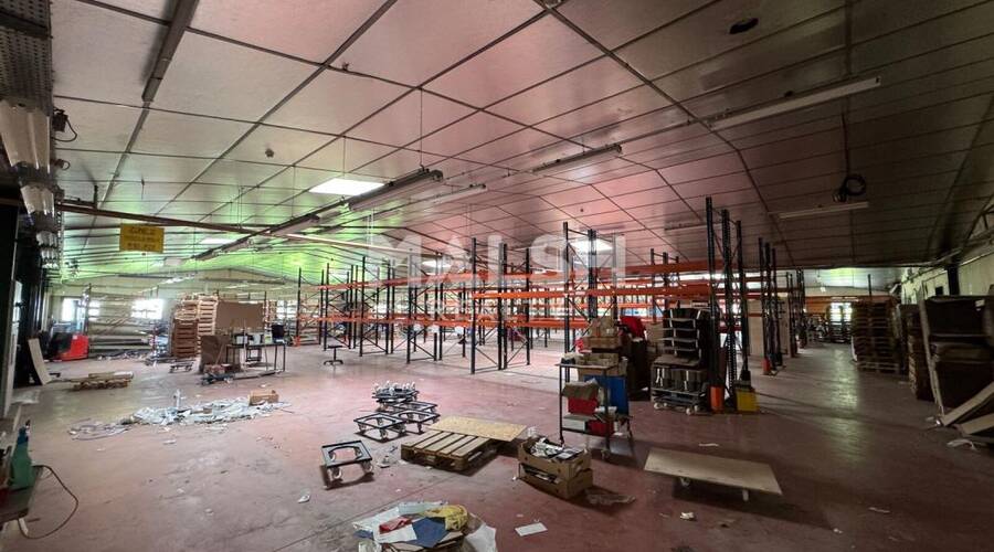 REXIM - Local d'activités - Loire - Saint-Galmier - 1