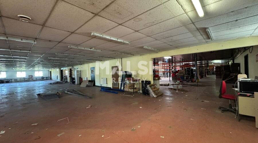 REXIM - Local d'activités - Loire - Saint-Galmier - 3