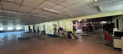 REXIM - Local d'activités - Loire - Saint-Galmier - 3