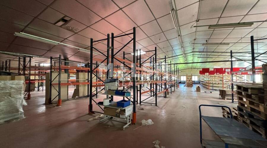 REXIM - Local d'activités - Loire - Saint-Galmier - 4