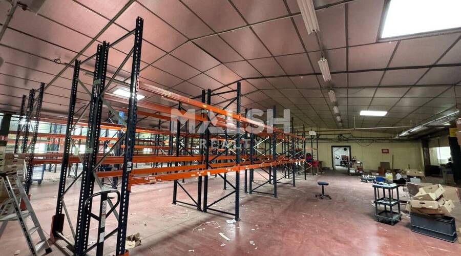 REXIM - Local d'activités - Loire - Saint-Galmier - 7